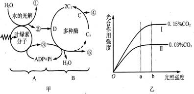 植物通过感知光、温度、湿度等环境因素来辨别物品和适应环境