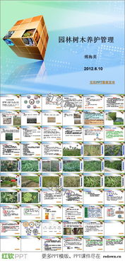 季节性养护管理