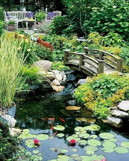 如何打造四季生态水景