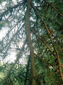 日常养护，不可忽视