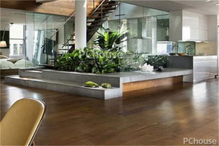 先说说得说说这个龟背竹