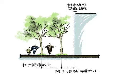 植物选择，就像选衣服一样