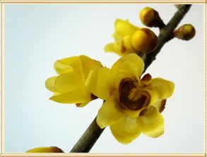 后期护理要到位