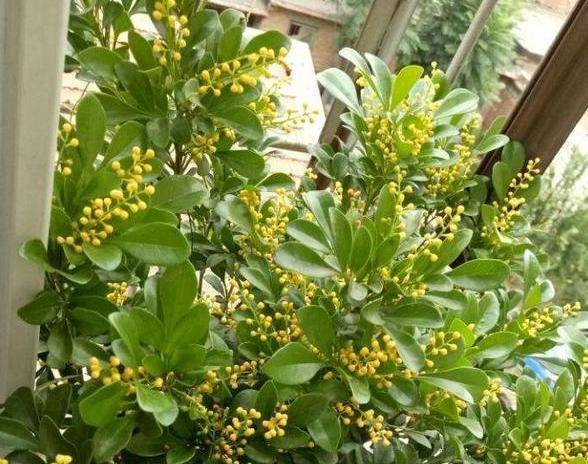 阳光，阳光，还是阳光！