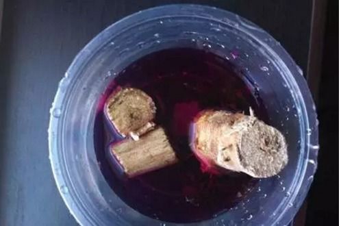 植物根茎腐烂怎么办？如何有效处理