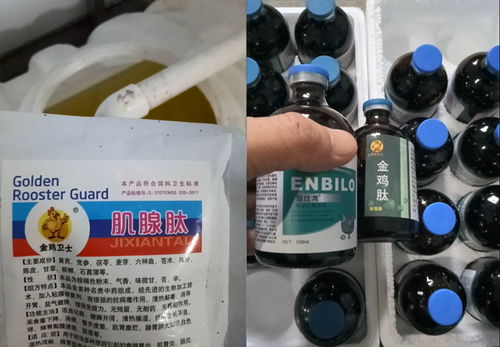 硫酸铜在鸡腺肌胃炎防治中发挥关键作用