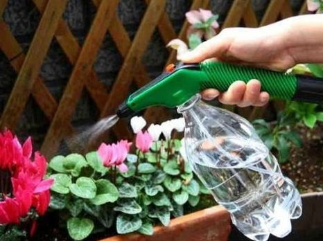 四、 创意无限，品种丰富