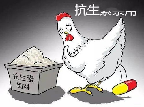 饲料禁抗后兽药行业真的会一蹶不振吗？