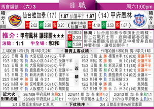 甲府风林仙台维加三日游，出行攻略大揭秘！