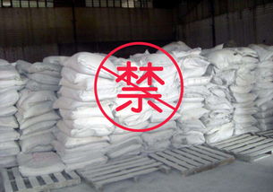 猪饲料禁抗后有哪些替代药物可以安全使用，以及如何确保猪只健康和饲料质量？