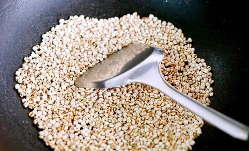 薏米泡水三天会烂根发芽吗？揭秘泡薏米的真相！