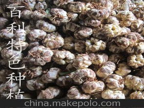 杏鲍菇废料可作姬松茸栽培基料，提高资源利用率