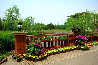 光启公园：历史的记忆与自然的和谐