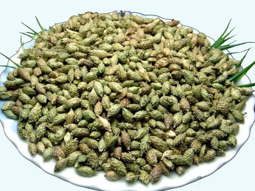 种子处理，不嫩马虎！