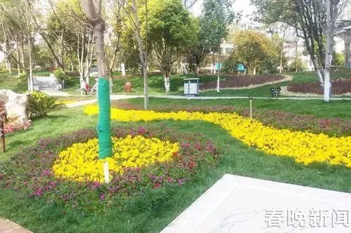 乔木类植物， 为儿童游乐区增添生机
