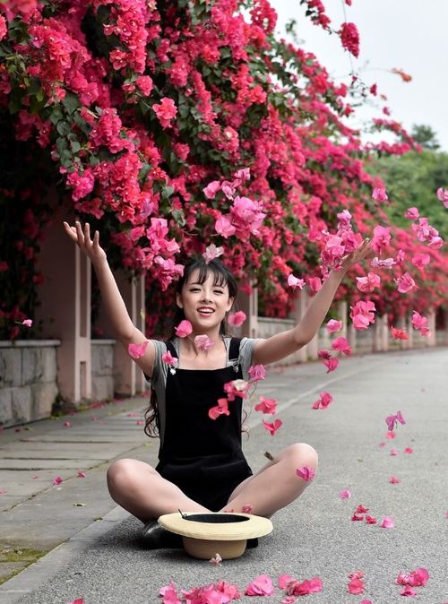 三角梅掉叶掉花，需查明原因