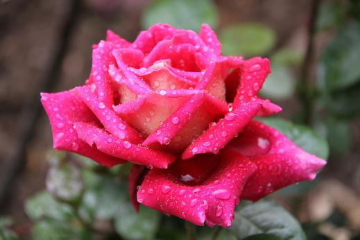 开封的气候条件