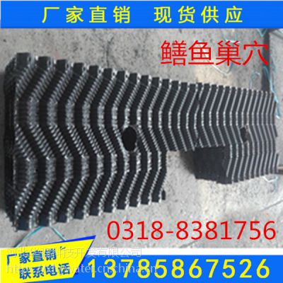 王忠华创新鳝巢养黄鳝技术，打造黄鳝成长新家园