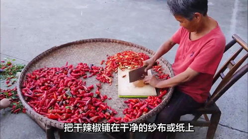 干辣椒可以长时间放在冰箱里保存吗