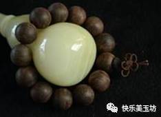 与自然对话的奇妙之旅