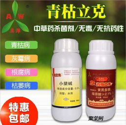 大蒜根腐病的罪魁祸首