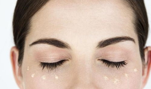 百合花的种植与养护