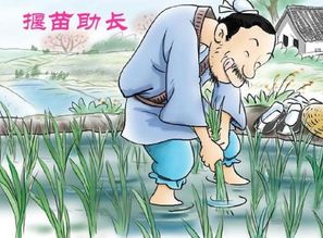 焦虑怕落后？揠苗的原因是急于求成吗