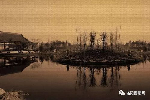 假山池沼：山水之间的点缀