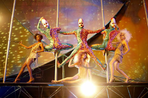 演员训练与配合