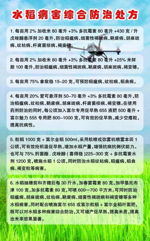 水稻扬花期使用毒死蜱的风险