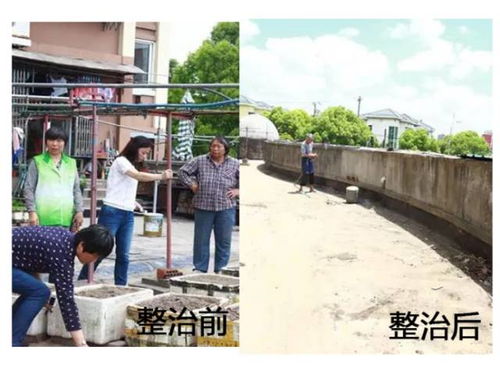 处理水土流失的方法