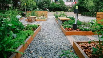 庭院种植的乡土植物小贴士