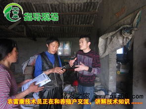 发酵泔水喂猪，猪能长得比直接喂泔水更快吗？