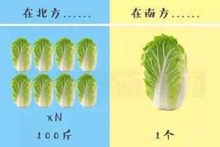 足球场草坪的秘密