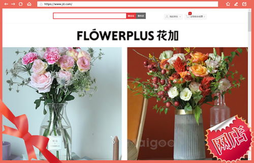 友谊之花，送哪款最贴心