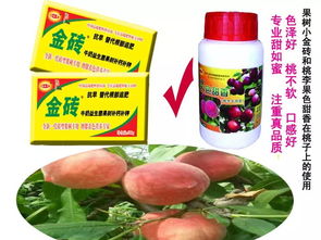 套袋前喷啥药效果更好？