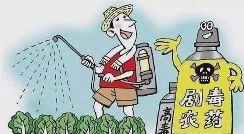 政府抽检，免费？