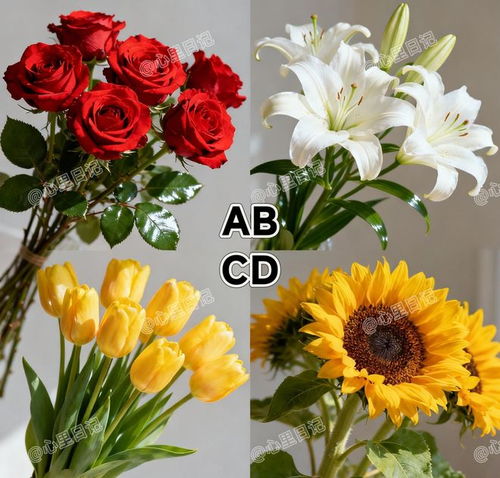 花卉的组合，情感的交织