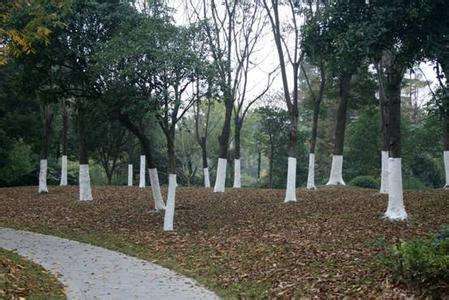 第六步：涂后观察，及时补涂