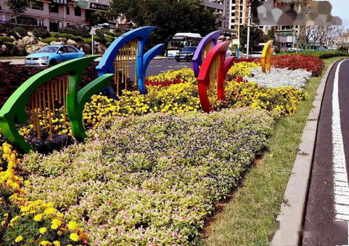 市政工程摆放的花，你知道叫什么吗？