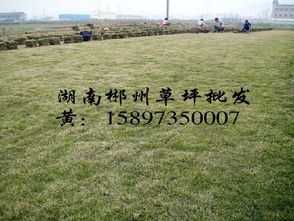 生长周期， 循环往复