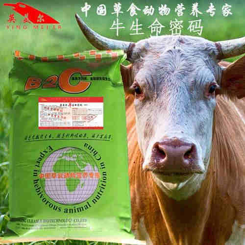 后备母猪饲料配方中，玉米、豆粕、预混料等成分比例如何确定以促进其健康发育？
