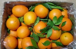 残留平安数据解读：平安使用， 放心采摘