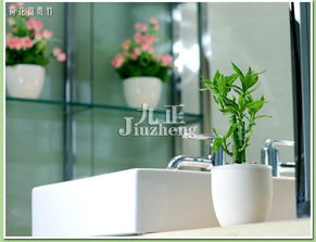 大门上爬满藤蔓植物：既美观又平安吗？