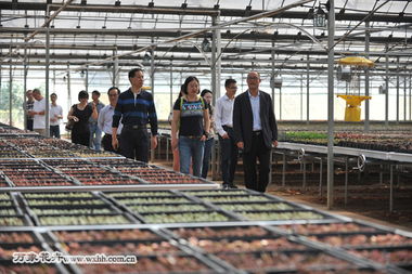 金华万象花卉欠银行多少