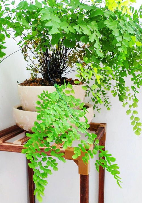 冬季浇水小秘密