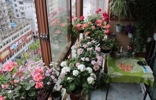 春天里的绿意盎然