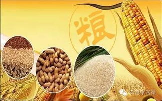 请问玉米、小麦、大豆等粮食作物都适合作为哪些动物的饲料呢？