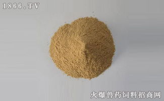 棉粕和豆粕在饲料中的单位价值有何区别？哪种更适合我的养殖需求？