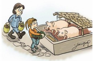 抓住养猪亏损潮，播种盈利新篇章